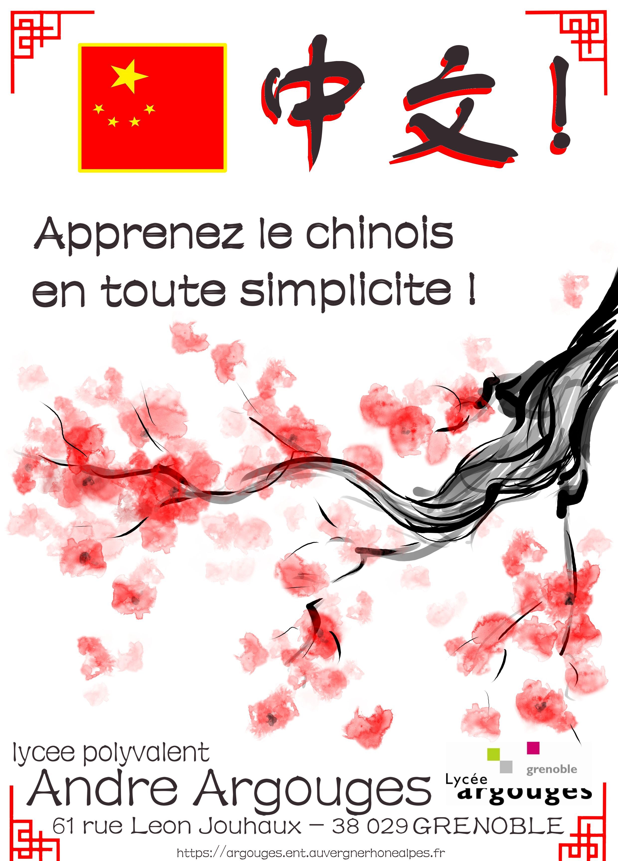 affiche promotion chinois 2.jpg